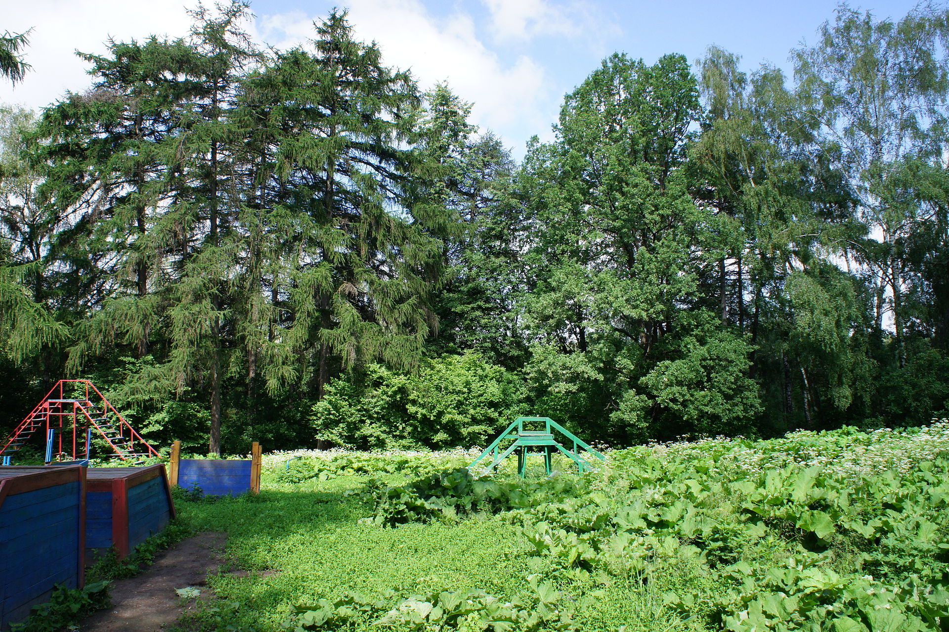 Коробковский сад