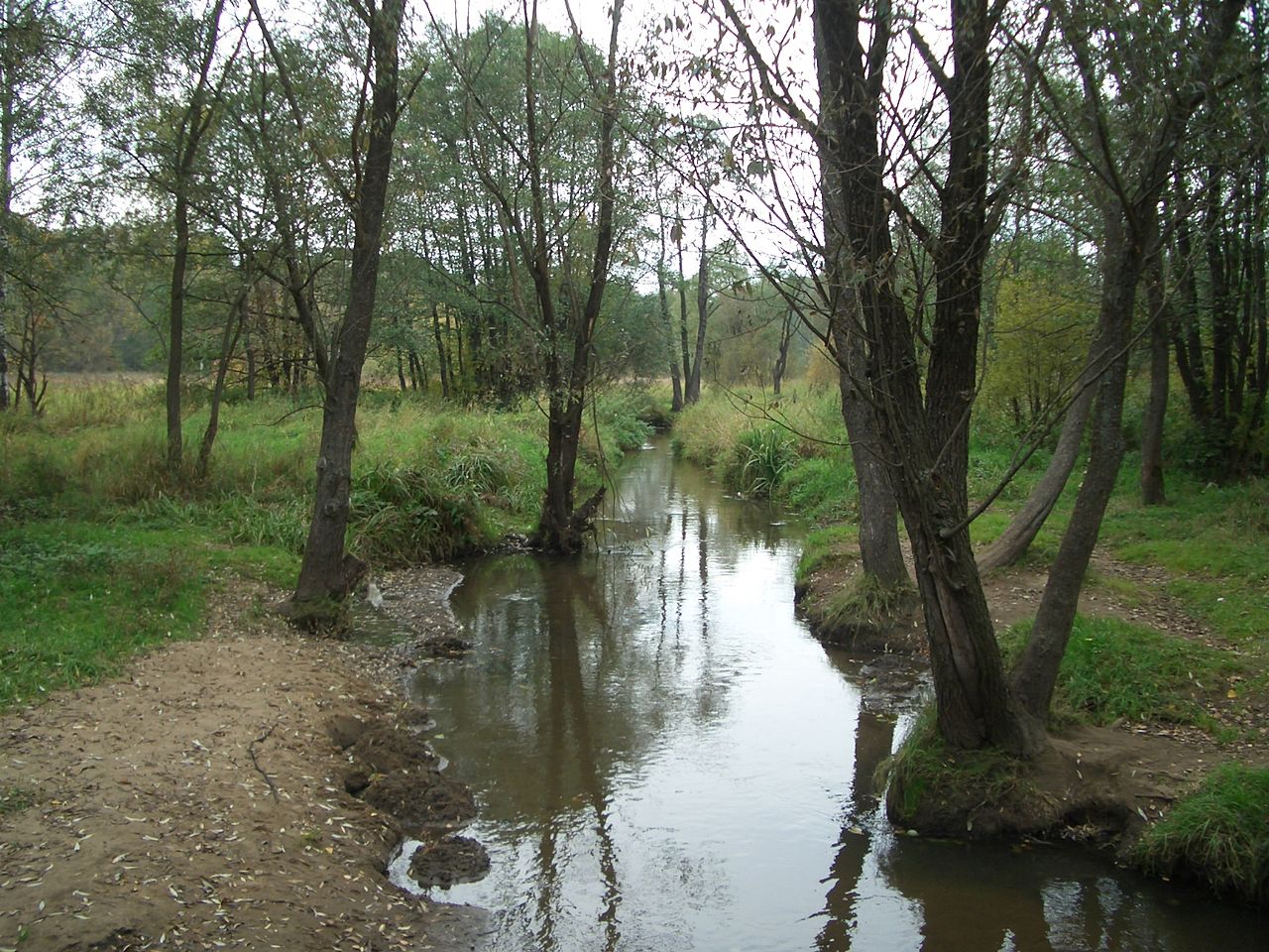 Измайловский парк - река Серебрянка